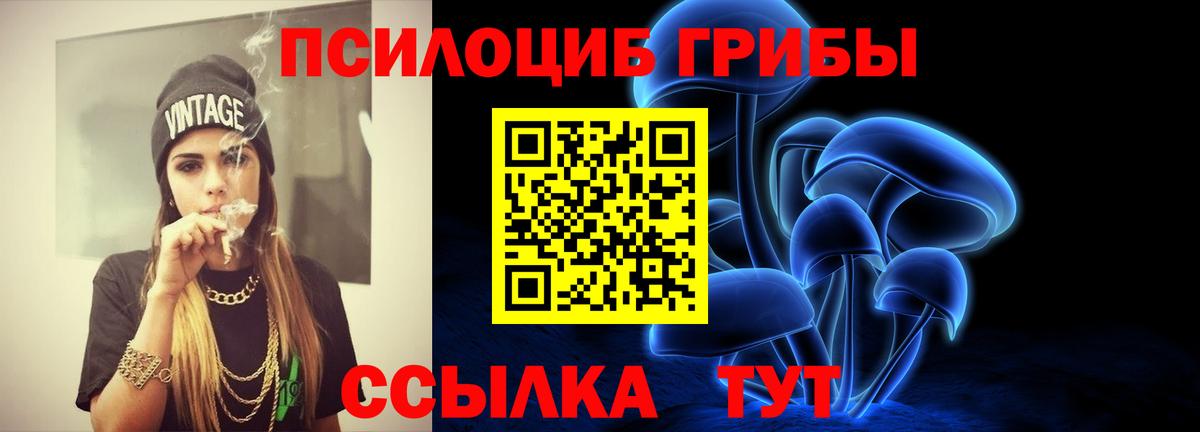 Тамбов  Псилоцибиновые грибы мухоморы  Вход с VPN  Псилоцибиновые грибы прущие грибы 